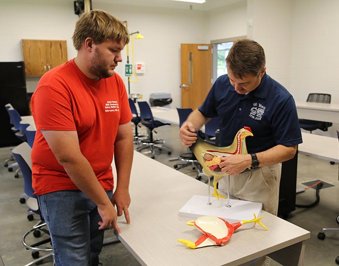 Male professor describing the anatomy of chicken with a student