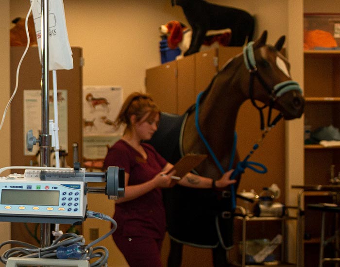 girl w/ horse in vet technology room